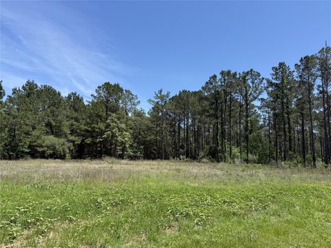 Photo of 165 Queen Anne Way, Huntsville, TX 77340 (MLS # 10248929)