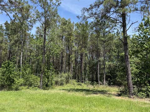 Vacant Land For Sale - 165 Queen Anne Way<br/> Walker County, Huntsville, TX 77340