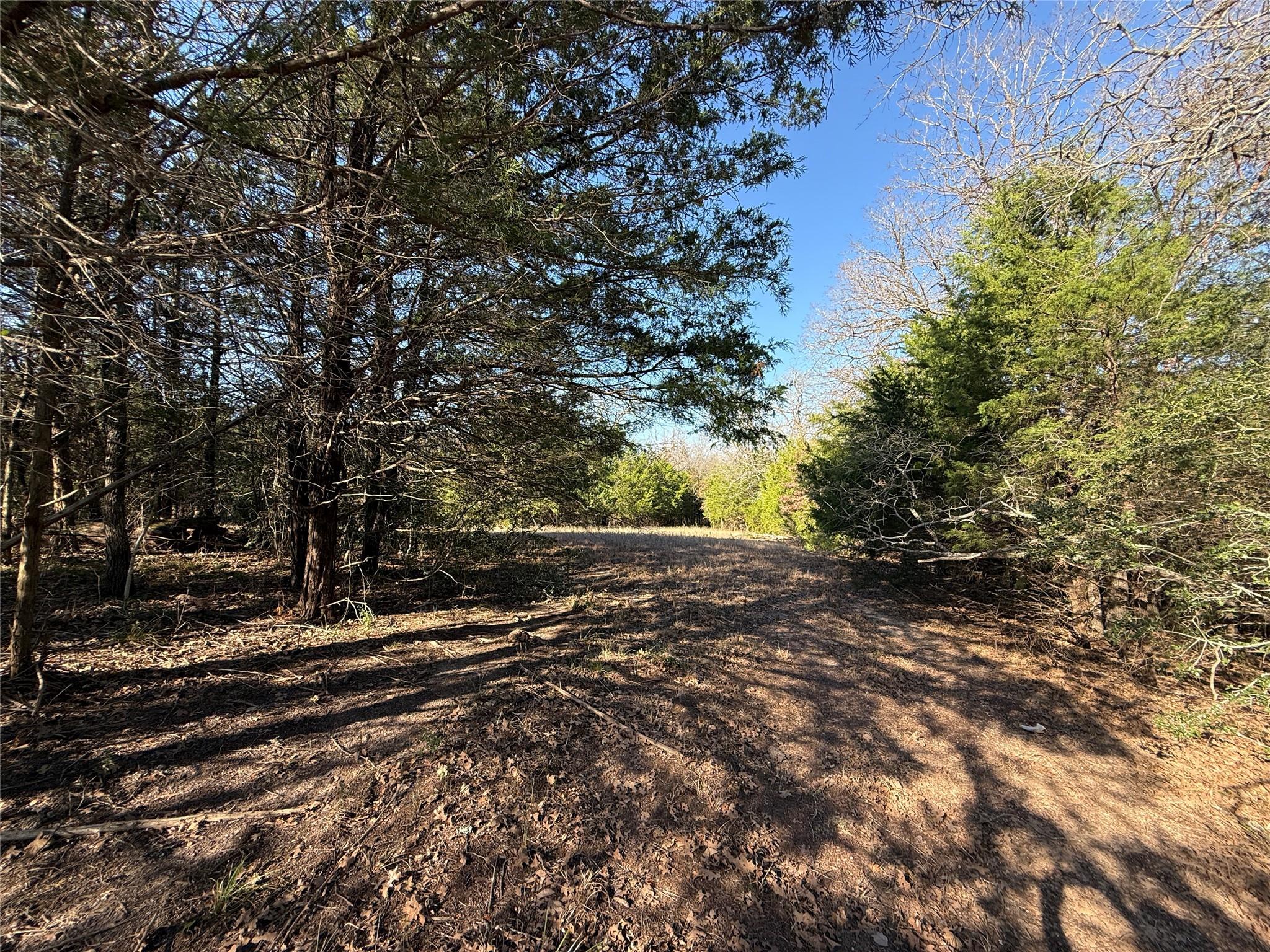 TBD 26.99 Acres Fcr 221