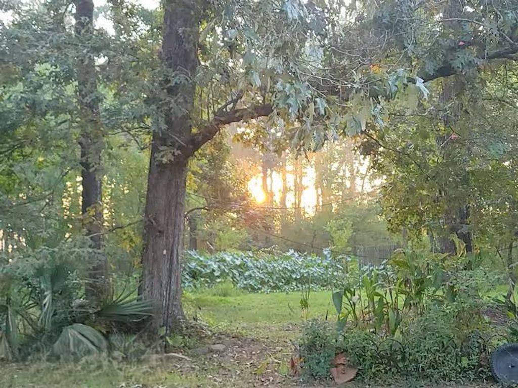 Photo of 6 Davidson Lane, Huffman, TX 77336 (MLS # 2605669)