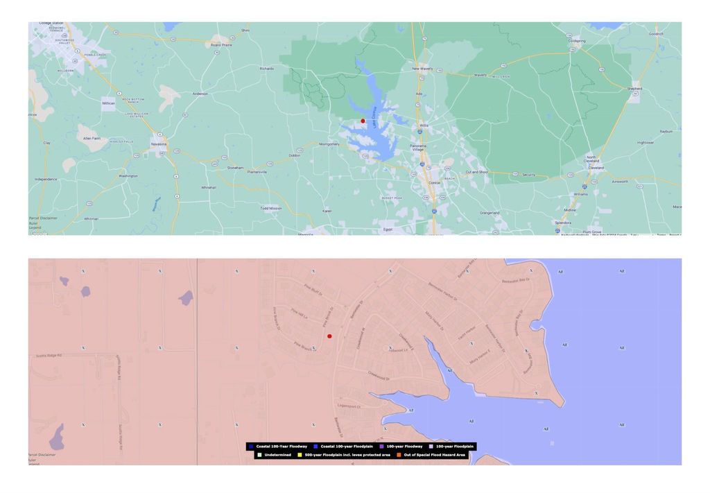 Photo of 313 Pine Brook Drive, Montgomery, TX 77356 (MLS # 58114305)