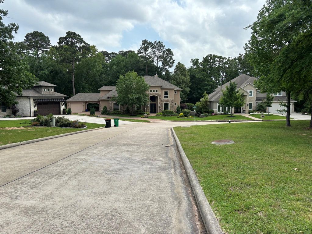 Photo of 313 Pine Brook Drive, Montgomery, TX 77356 (MLS # 58114305)