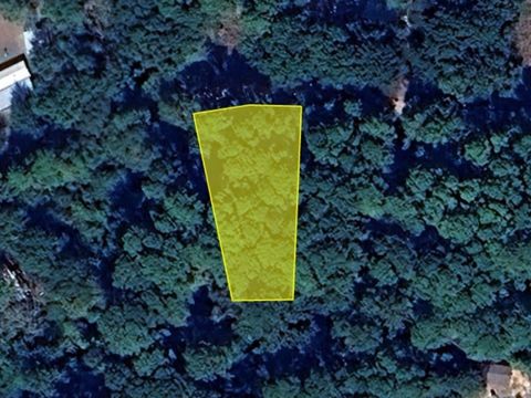 Vacant Land For Sale - 7804 N Creek Ln<br/> Plantersville, TX 77363