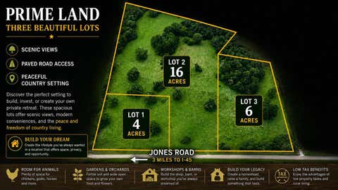 Photo of 0 Jones Rd Road, New Waverly, TX 77358 (MLS # 8177786)