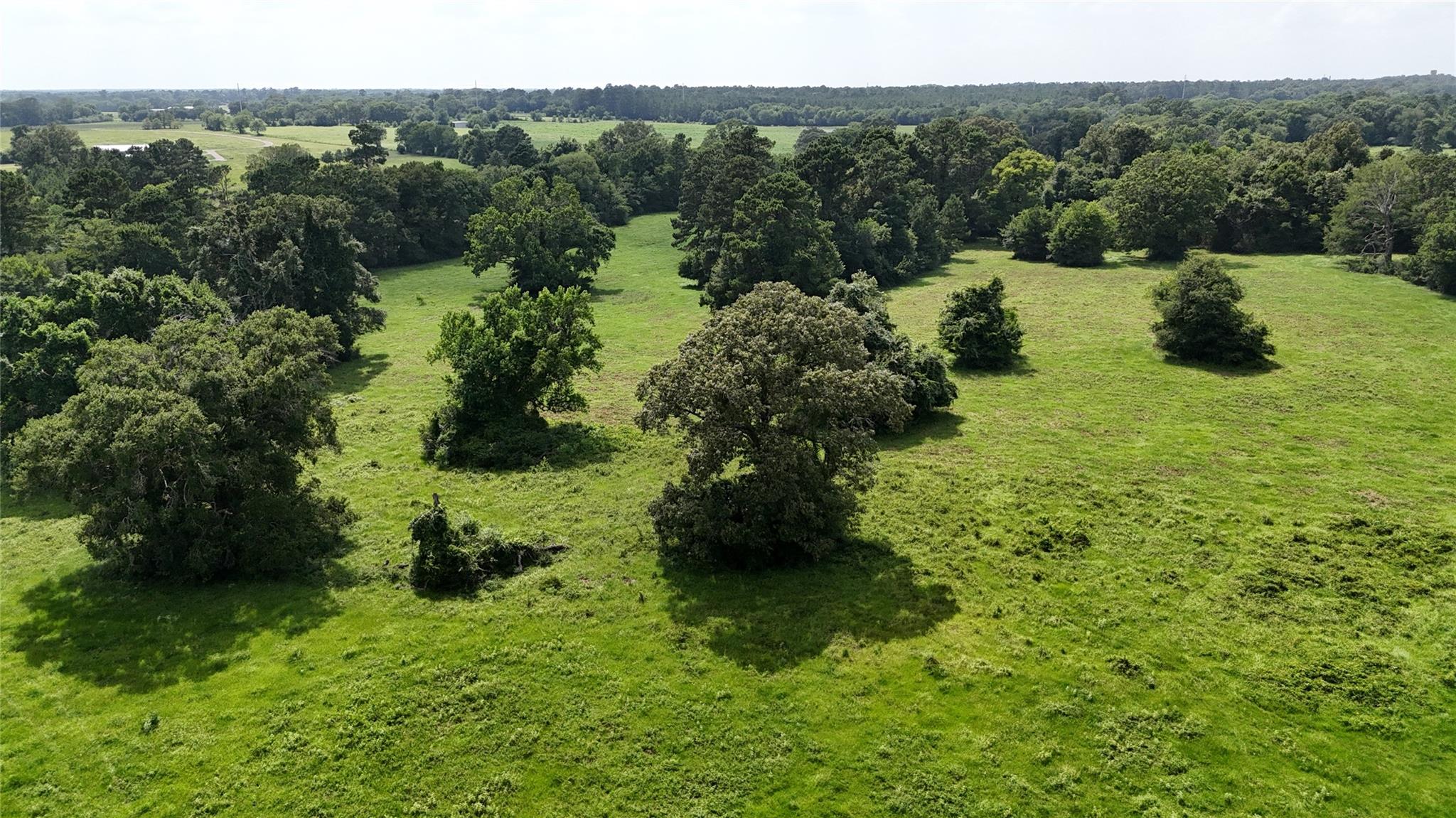0000 Jones Rd Road