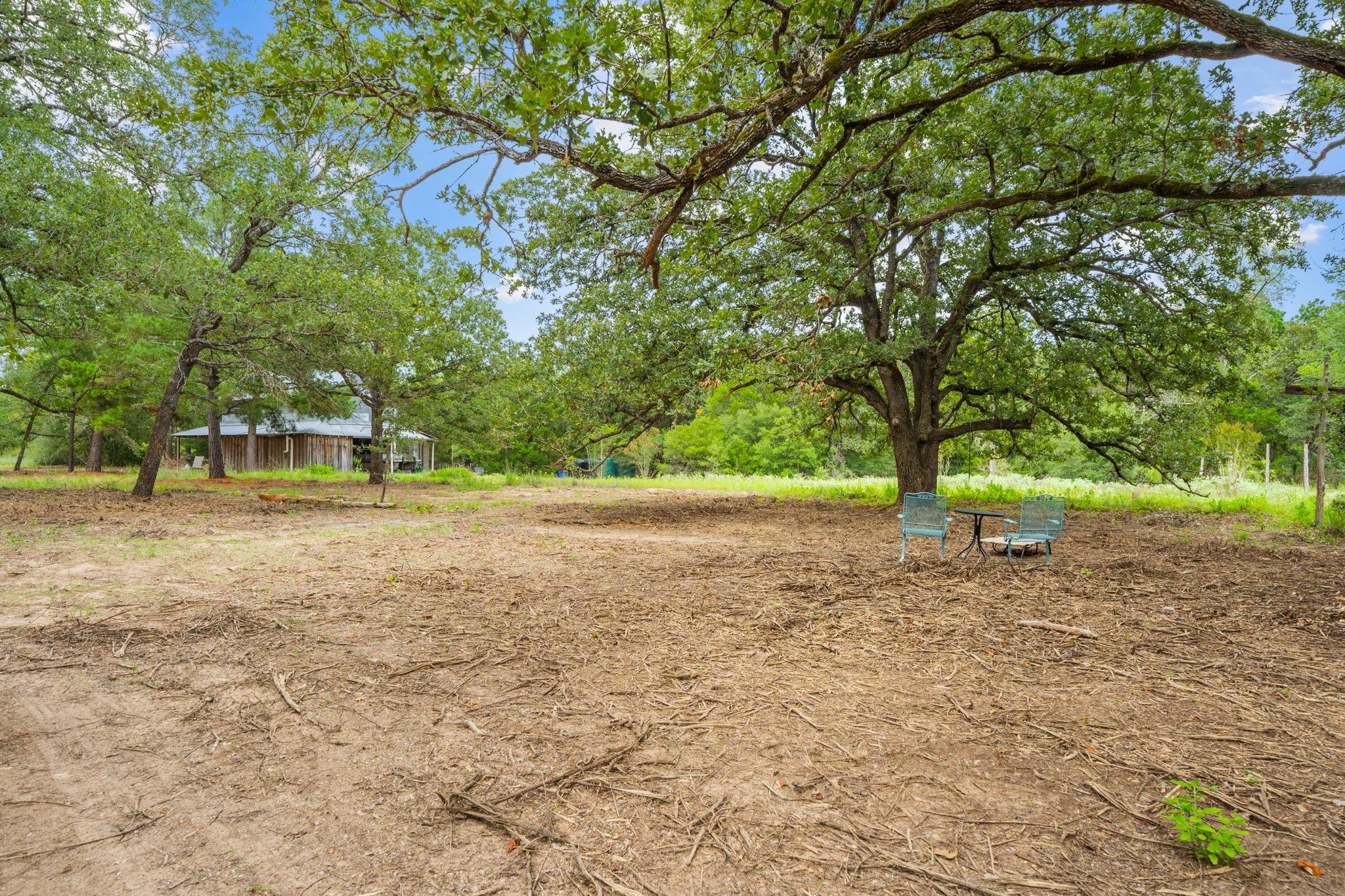 242 Cody Lane