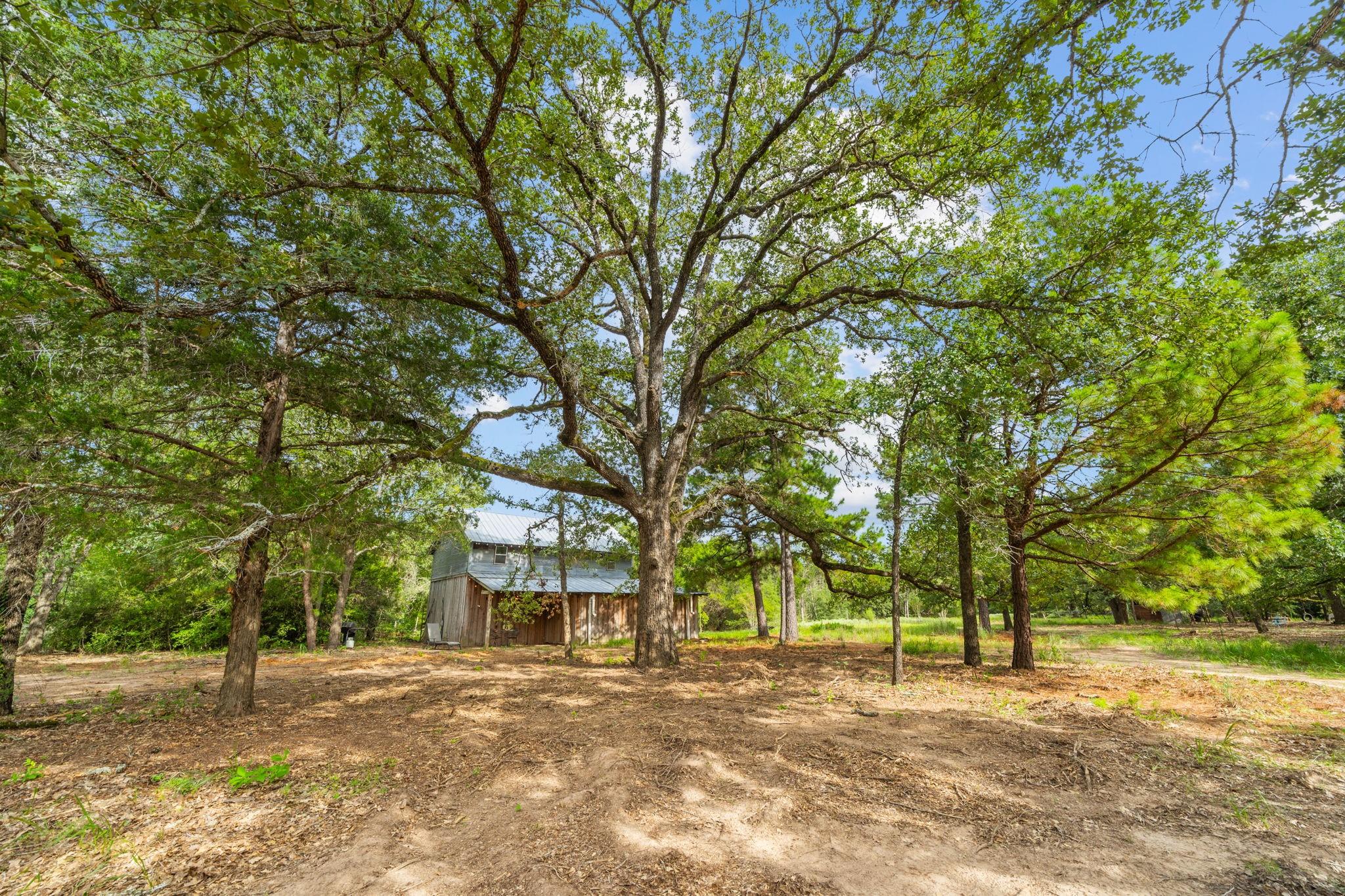 242 Cody Lane