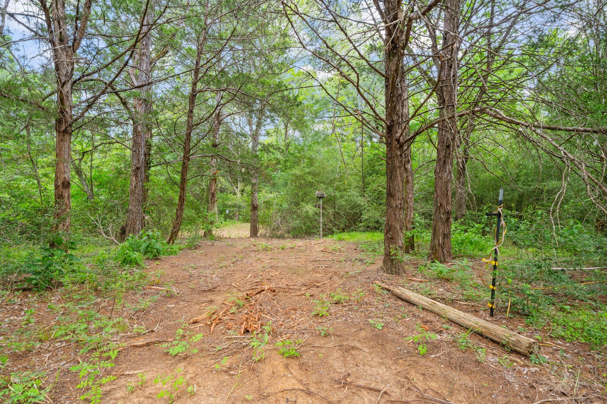 242 Cody Lane