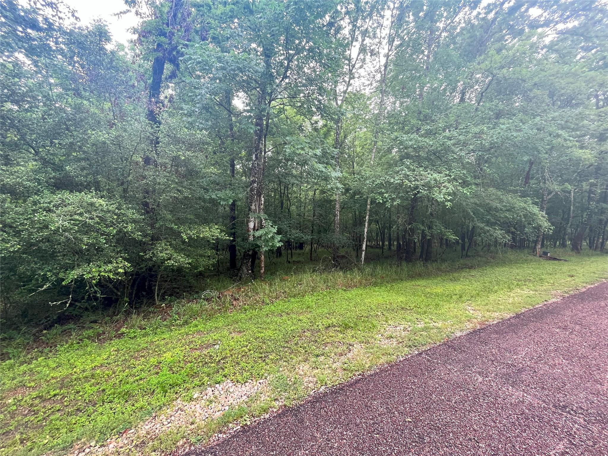 74 S Royale Greens Drive