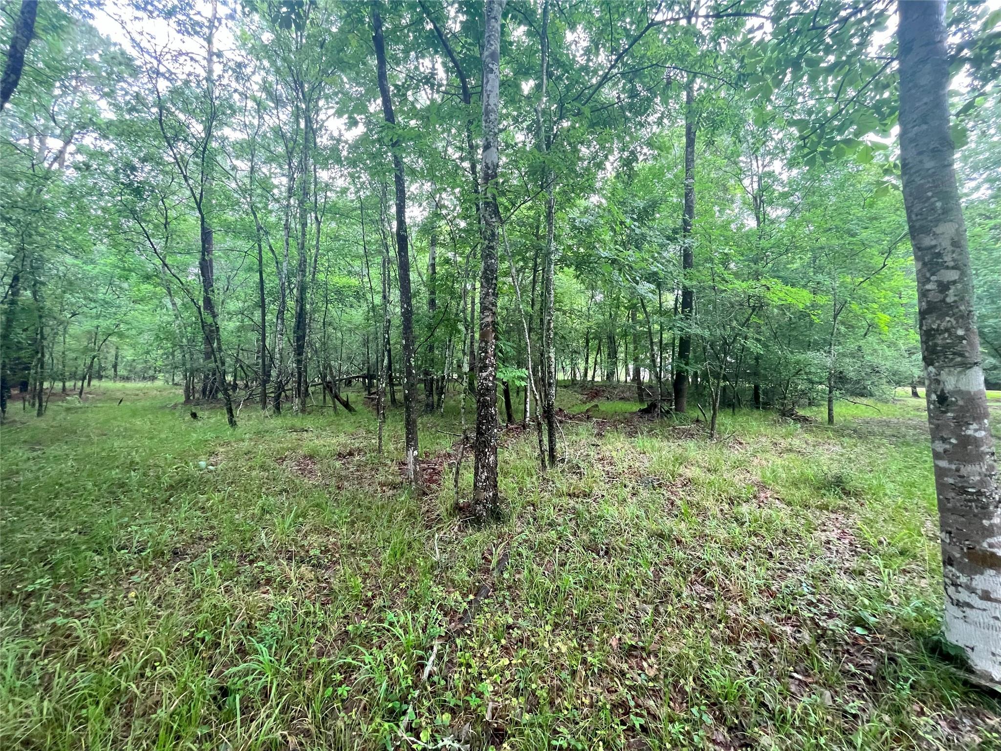 74 S Royale Greens Drive