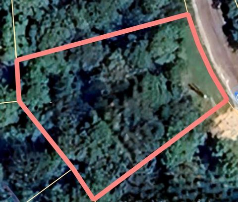 Photo of 93 Whisperwood Drive, Onalaska, TX 77360 (MLS # 49873654)