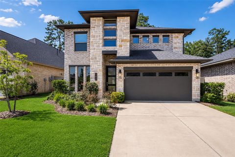 Photo of 147 Harlequin Duck Court, Magnolia, TX 77354 (MLS # 45537781)