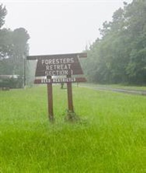 Photo of TBD Moonbeam Dr, Livingston, TX 77351 (MLS # 80034300)