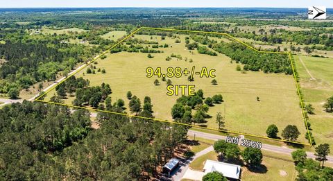 Photo of 501 Fm 2550, Huntsville, TX 77340 (MLS # 79357798)