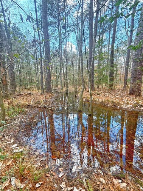 Vacant Land For Sale - 000 Cr 1200<br/> Hemphill, TX 75948