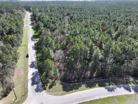 17582 E Terrace Oaks Drive Waller TX 77484