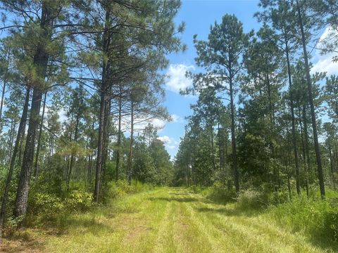Photo of TBD Fm 1005, Jasper, TX 75951 (MLS # 19076219)