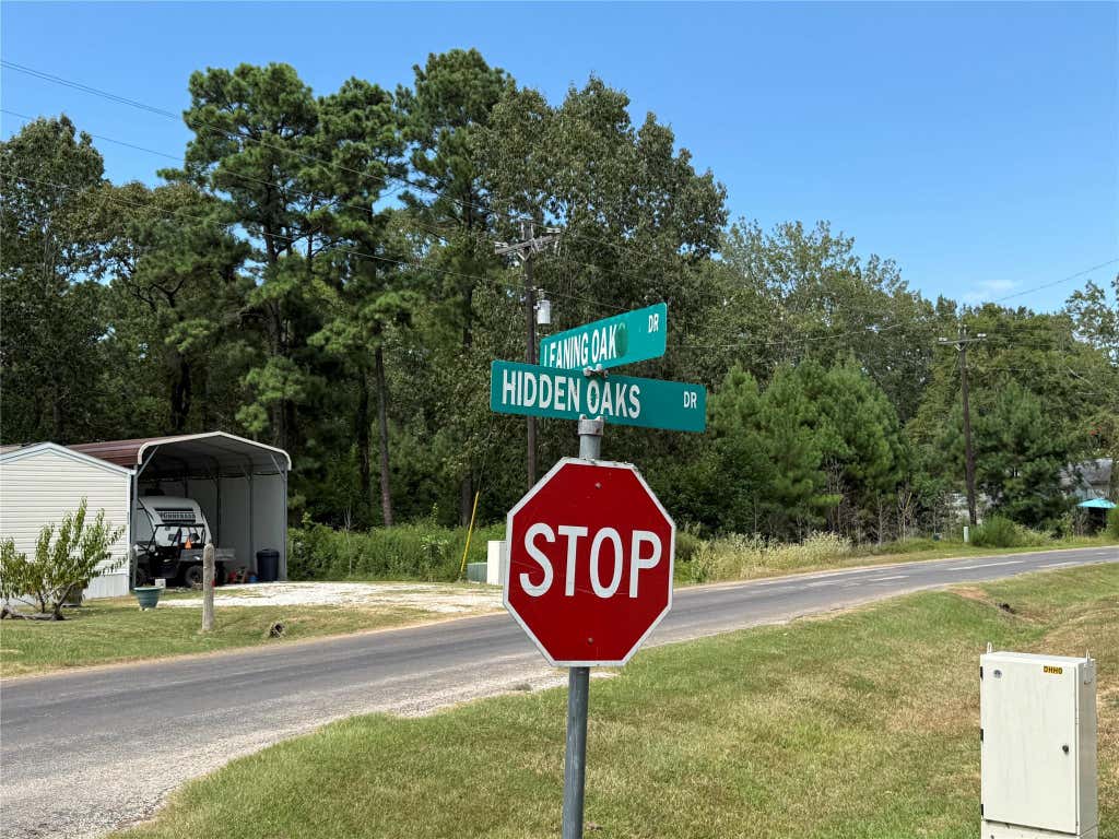 Photo of 10 Leaning Oak Drive, Point Blank, TX 77364 (MLS # 52778523)