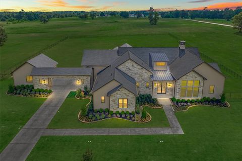 2306 Iris Cove Court Hockley TX 77447