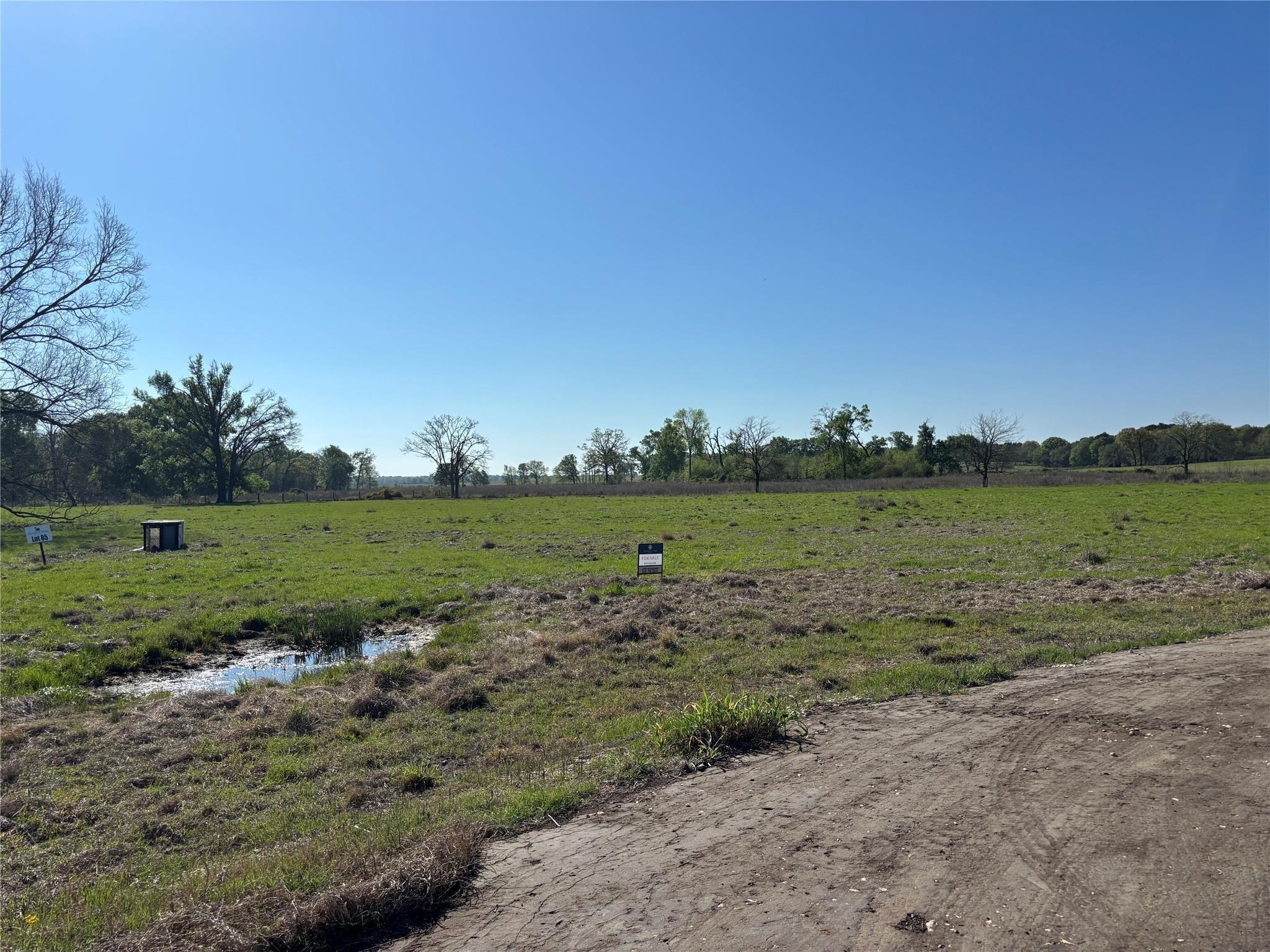 Lot 85 County Road 231