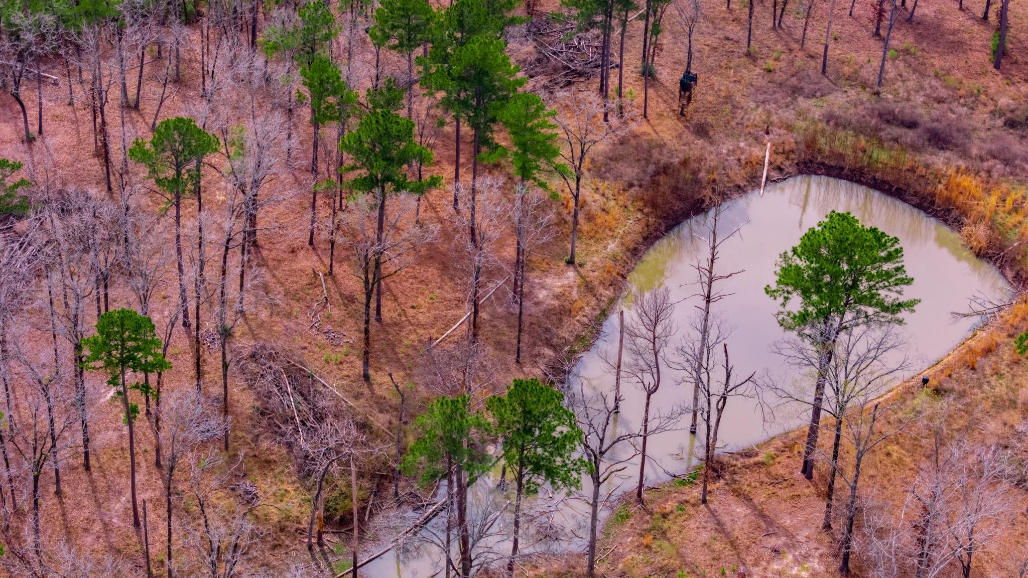 148 Private Road 8033