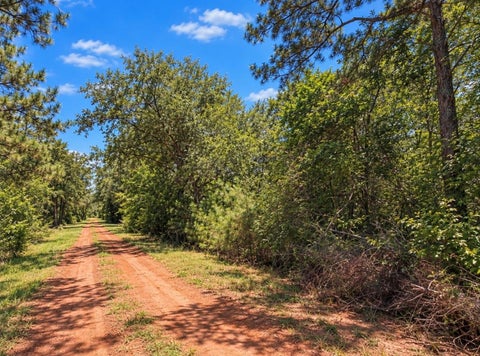Vacant Land For Sale - 00 Deerwood Dr<br/> Hempstead, TX 77445