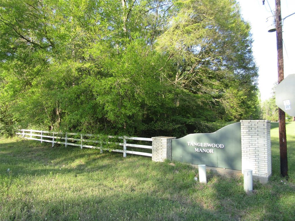 Photo of TBD Magnolia Lane, New Caney, TX 77357 (MLS # 71119515)