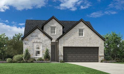 10248 Bluegill Crest Drive Willis TX 77318
