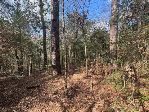 Vacant Land For Sale - LOT 219 Mallard Drive<br/> San Jacinto County, Coldspring, TX 77331