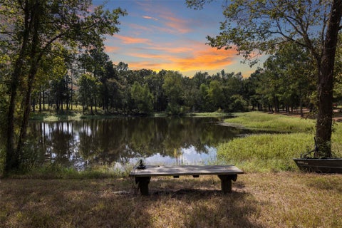 Photo of 29489 Red Top Road Rd, Richards, TX 77873 (MLS # 35875098)