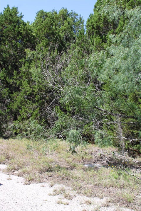 Photo of 8200 Cedar Glen Cove, Leander, TX 78645 (MLS # 34622628)