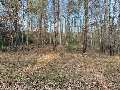 Photo of TBD Indian Oaks, Livingston, TX 77351 (MLS # 56464353)