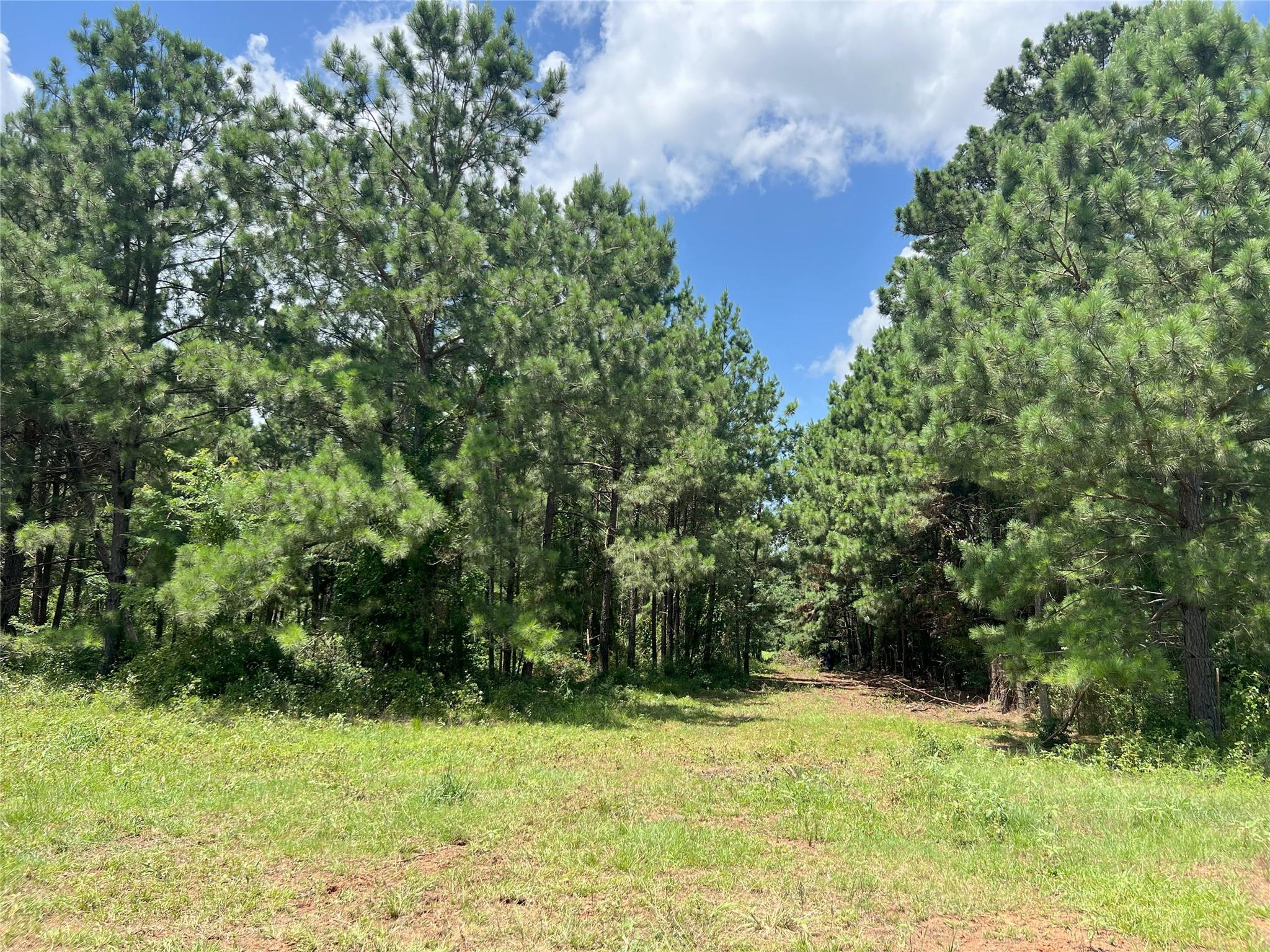 4376-50 State Highway 7 W