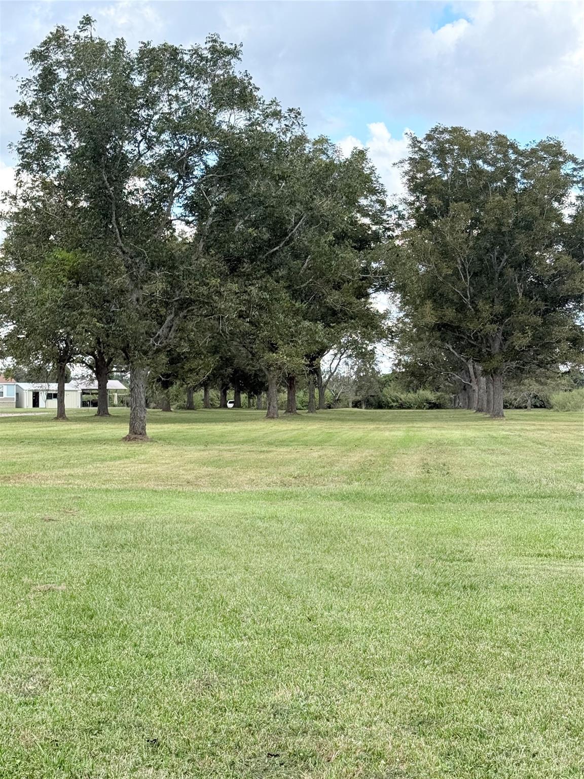 9639 Fm 524 Road