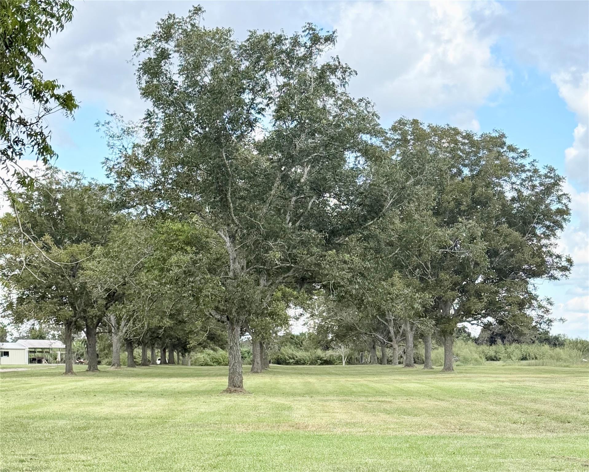 9639 Fm 524 Road