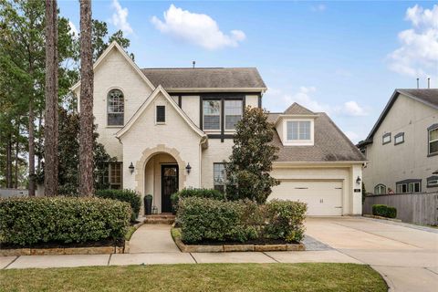 155 Rockwell Park Drive Spring TX 77389