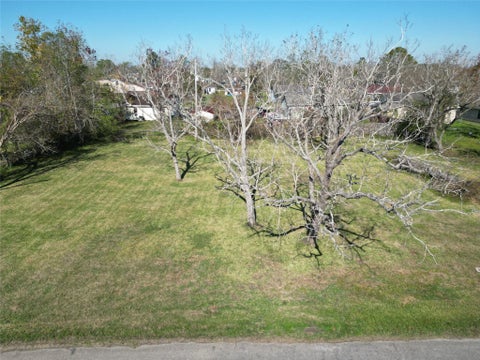 Photo of 409 Carlton Street, Brazoria, TX 77422 (MLS # 92256702)