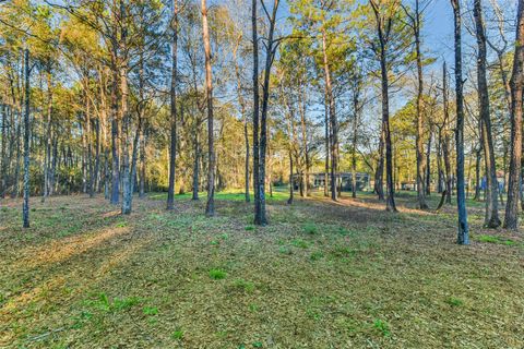 Photo of 150 Maurine Lane, Cleveland, TX 77328 (MLS # 81417139)