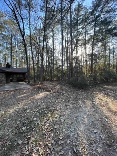 329 Blue Willow Drive