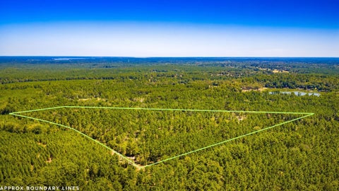 Vacant Land For Sale - TBD E Lakeview Drive<br/> Trinity, TX 75862