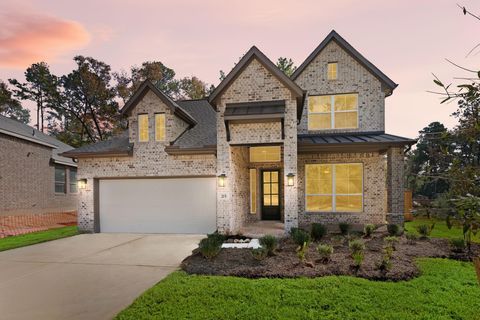 215 Congo Bay Circle Willis TX 77318