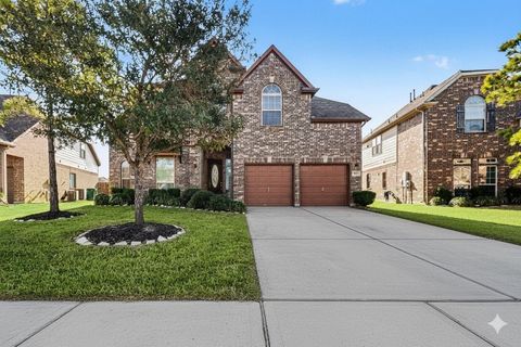 9735 Clear Diamond Drive Rosharon TX 77583