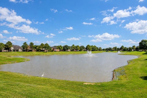 Photo of 7423 Summer Night Lane, Rosenberg, TX 77469 (MLS # 37338317)