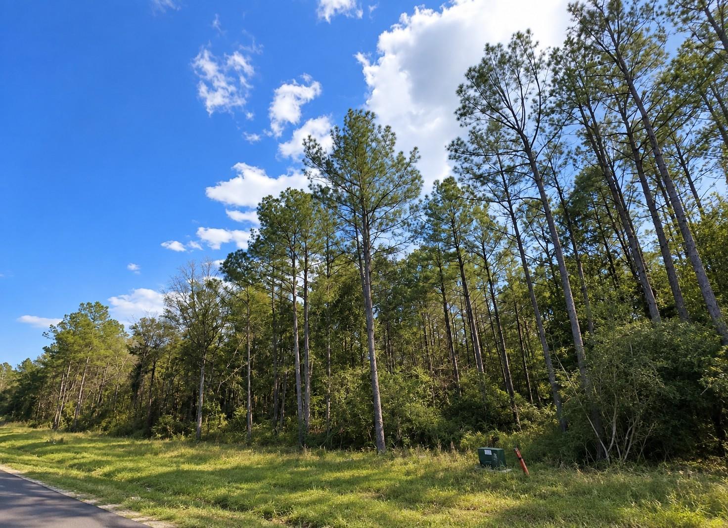 12939 Oak Barrel Road