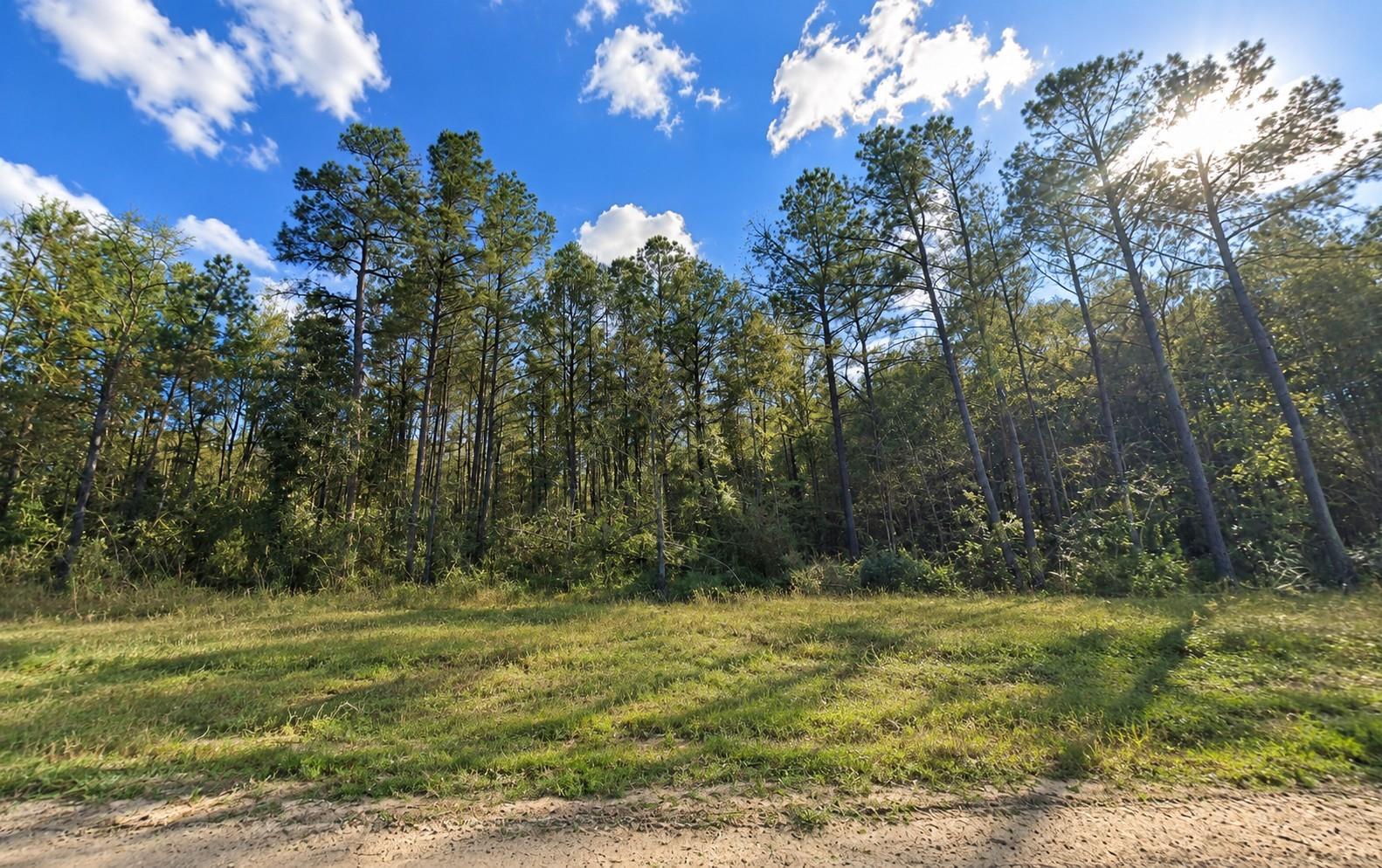 12939 Oak Barrel Road