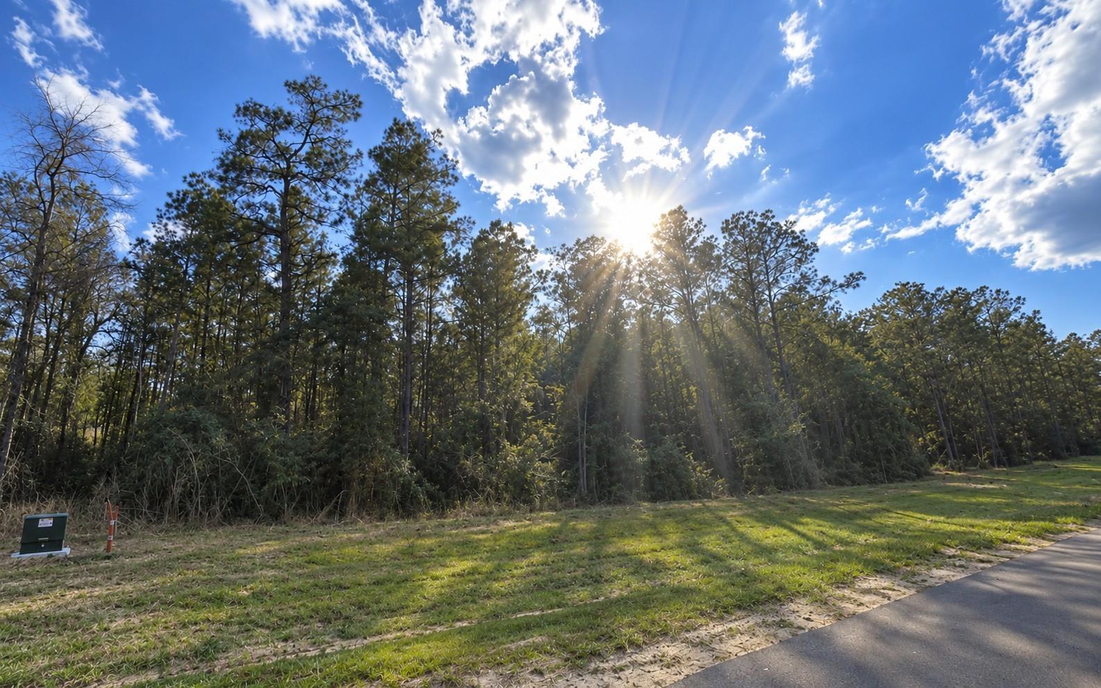 12939 Oak Barrel Road