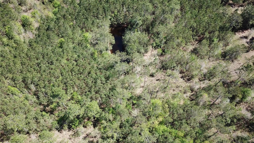 Photo of 0 Langham, Kountze, TX 77625 (MLS # 27456955)