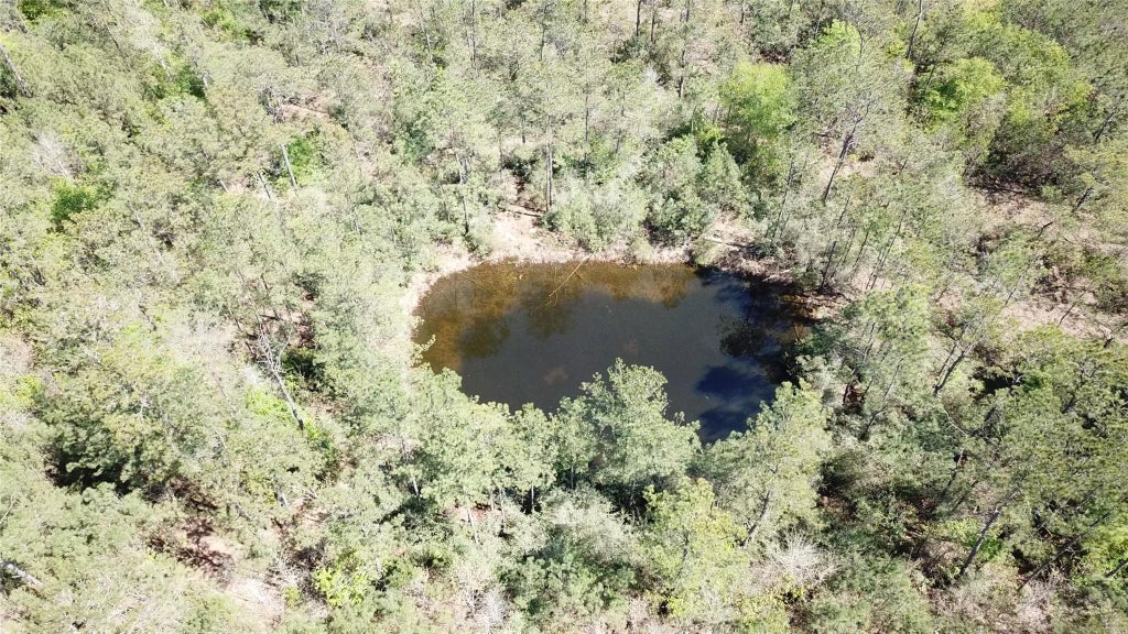 Photo of 0 Langham, Kountze, TX 77625 (MLS # 27456955)
