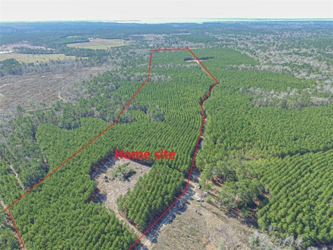 Vacant Land For Sale - TBD Sandydale Lane<br/> Livingston, TX 77351
