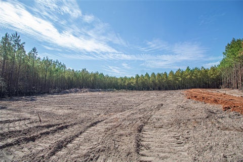 Vacant Land For Sale - TBD Sandydale Lane<br/> Livingston, TX 77351